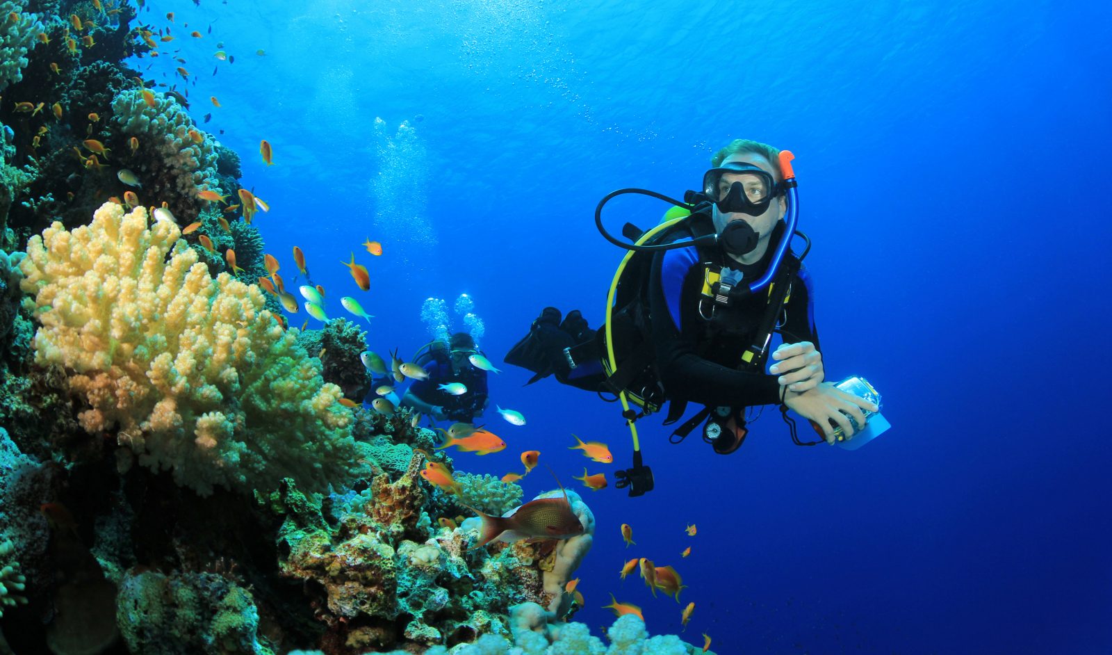 BUCEO EN LA ISLA COZUMEL: EXPLORA EL PARAÍSO SUBMARINO DEL CARIBE MEXICANO